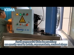 Máy làm đá vảy nước ngọt thương mại Máy làm đá vảy nhỏ Nhà máy đá vảy dùng cho khách sạn