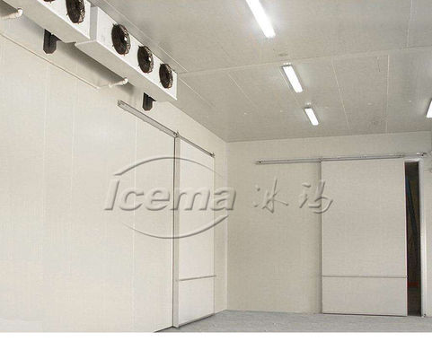 Tủ đông lạnh công nghiệp 110v-480v R404A Khách sạn Cửa hàng may mặc
