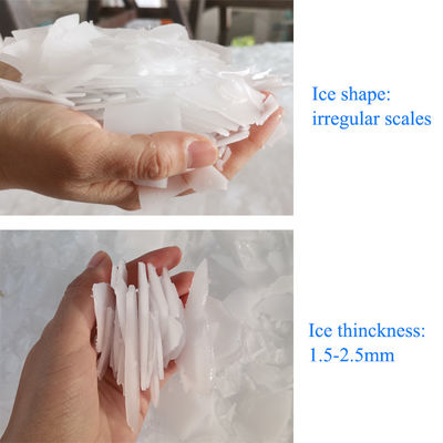 10T / 24H Hệ thống lưu trữ băng tự động Máy làm băng vảy Ngành công nghiệp thương mại cho hải sản / tươi / làm mát bê tông