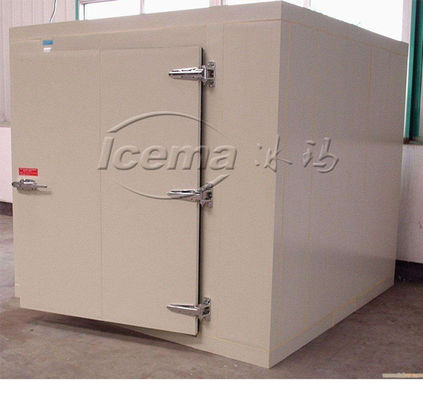 Giá tốt Phòng lạnh chất lượng cao bằng cách giữ thực phẩm tươi trong công nghiệp trực tuyến