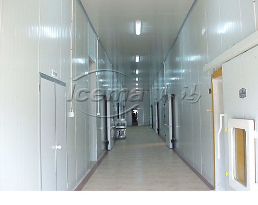 Phòng lạnh chất lượng cao bằng cách giữ thực phẩm tươi trong công nghiệp