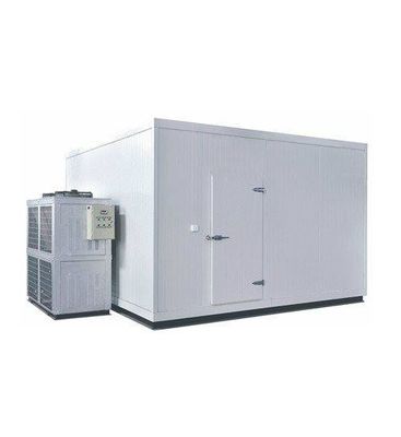 Phòng lạnh cá Tủ đông Phòng đi bộ trong phòng máy làm lạnh