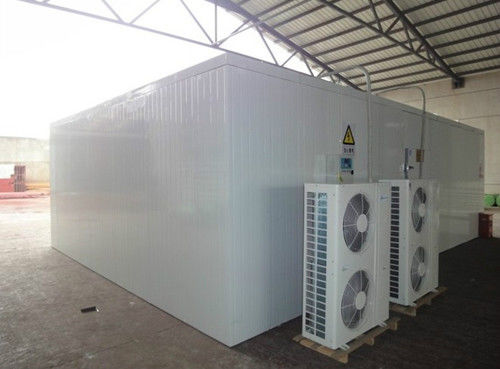 Phòng lạnh cá Tủ đông Phòng đi bộ trong phòng máy làm lạnh