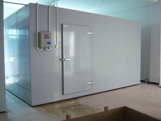 Phòng lạnh cá Tủ đông Phòng đi bộ trong phòng máy làm lạnh