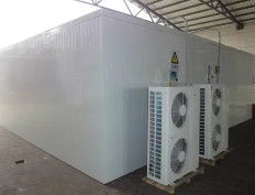 Rau trong phòng lạnh Tủ lạnh Đi bộ trong kho lạnh để giữ trái cây tươi Vận chuyển cá