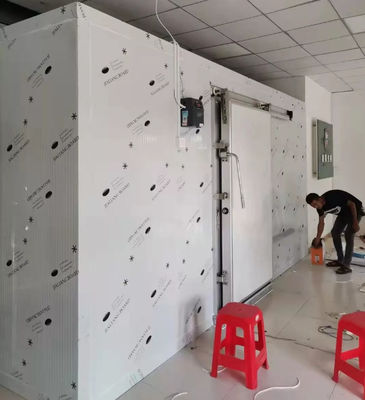 Giá phòng lạnh thương mại 20ft container walk in freezer cold storage để giữ trái cây tươi / rau / cá / vận chuyển