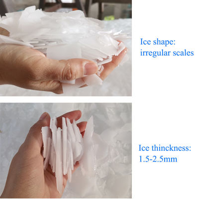 Máy làm đá vảy nước biển tự động 1 tấn thương mại cho trang trại nuôi cá thực phẩm