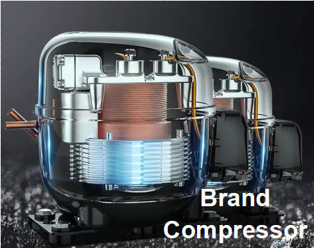 1350L Tủ lạnh thương mại / Tủ đông nhà bếp / Tủ lạnh siêu lớn cho nhà hàng
