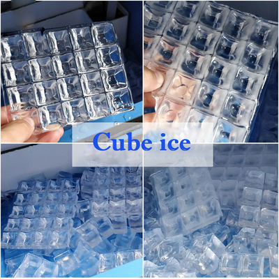 Trang trại / Nhà máy sản xuất / Nhà máy sản xuất máy công nghiệp Ice Cube 2T/24H