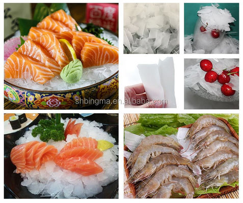 Máy sản xuất băng công nghiệp có năng suất cao 10T/24H cho thủy sản đánh bắt