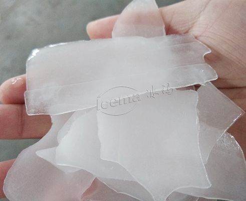 2T / 24H Máy chế tạo băng công nghiệp cho thủy sản